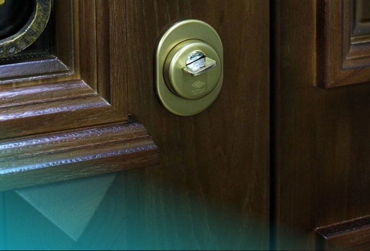 Двери с массивом дерева