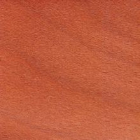 Образец №55